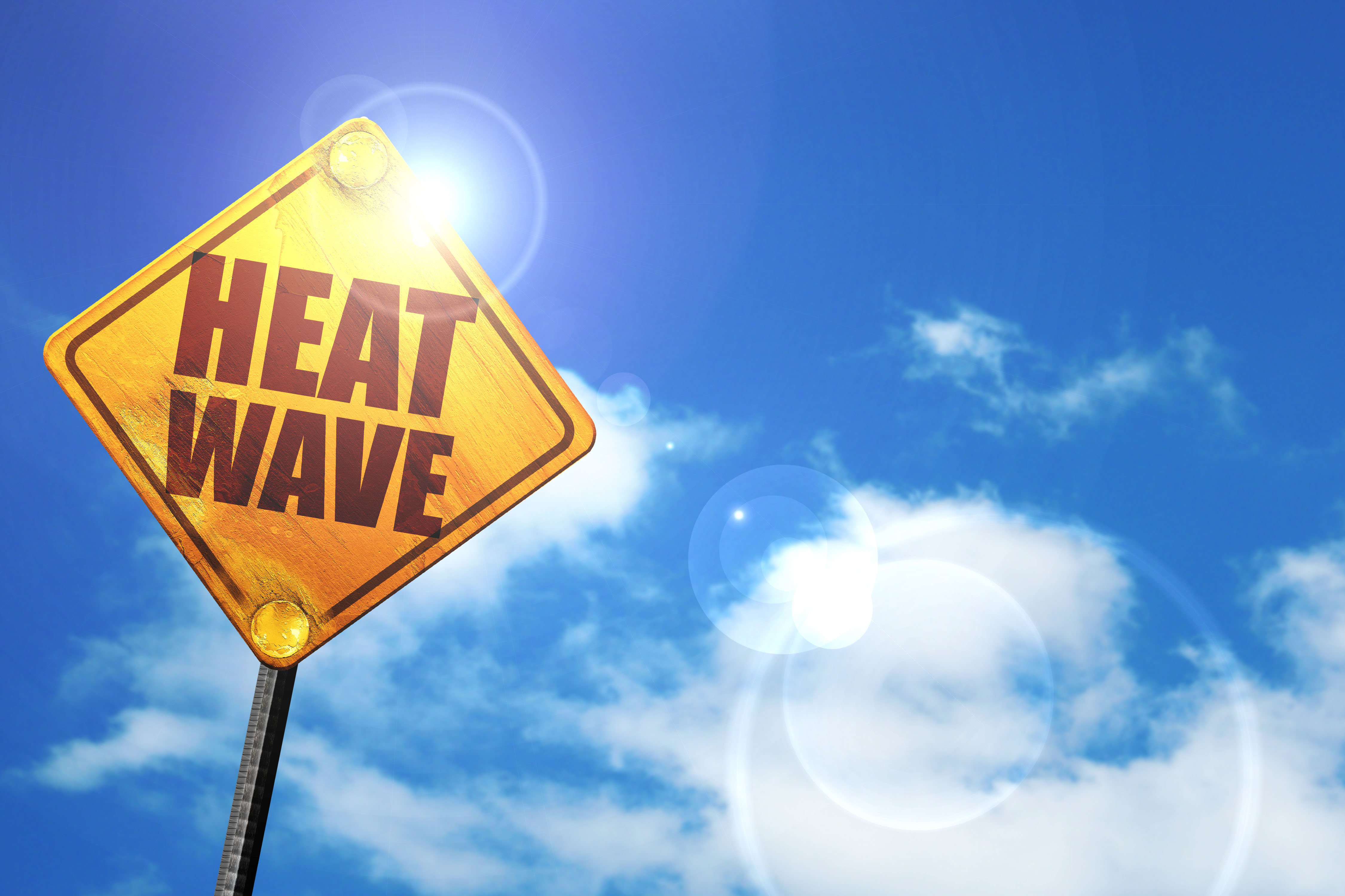 Extreme Heat Warning Issued for Nova Scotia | Nova Scotia Buzz