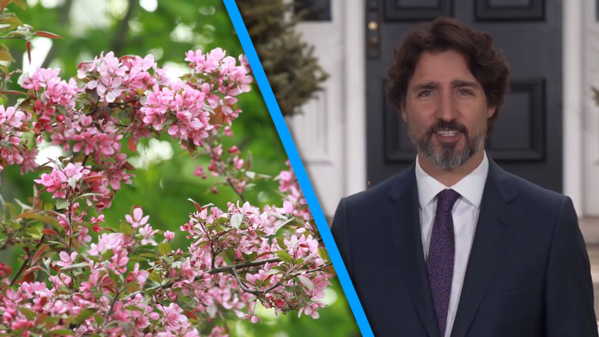 Justin Trudeau Wishes A Happy Apple Blossom Festival To Nova Scotia’s